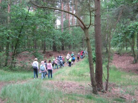 Schüler im Wald